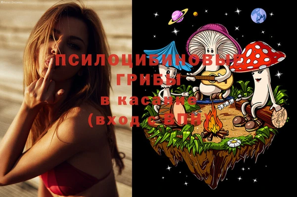 дурь Нефтекумск