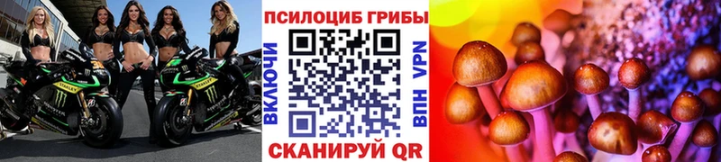 Галлюциногенные грибы ЛСД Опочка
